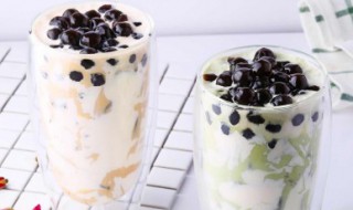 奶茶里的配料多肉是什么东西 奶茶里的配料多肉是啥东西