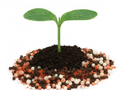 磷酸二氢钾加尿素的使用方法 注意这些要点科学施肥效果高