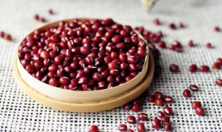 做豆沙用什么豆 做豆沙用哪种豆