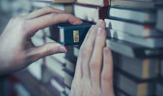 立冬是优美句子 关于立冬的优美句子有哪些