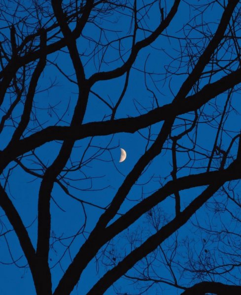 手机怎么拍月亮更清晰