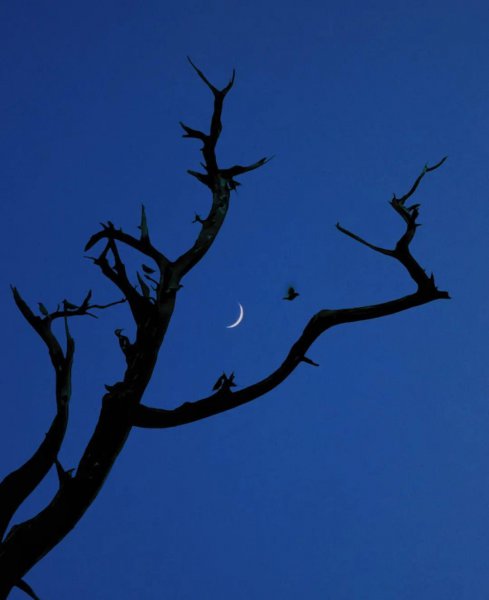 手机怎么拍月亮更清晰