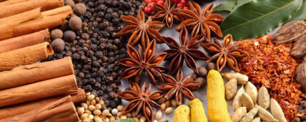 清炖肉时放什么香料去腥