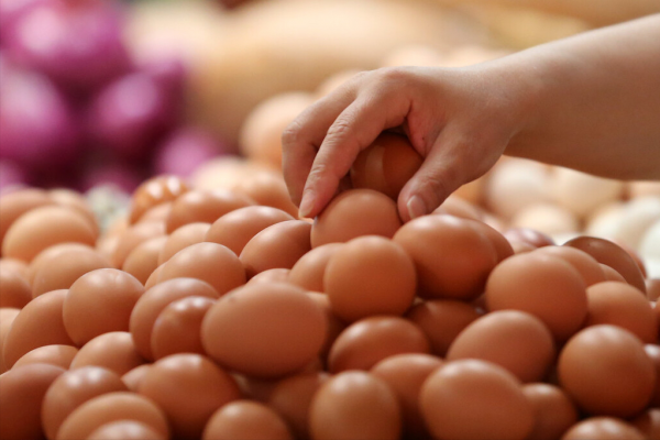 白煮蛋冷水下锅要煮几分钟