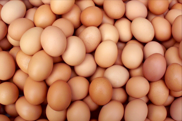 白煮蛋冷水下锅要煮几分钟