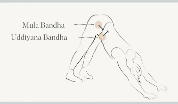 瑜伽的主要六大流派分别为