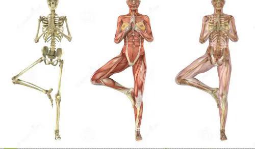 瑜伽的主要六大流派分别为