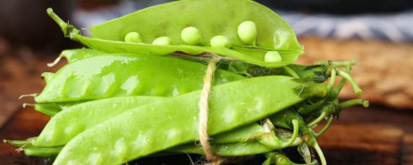 荷兰豆能生吃吗