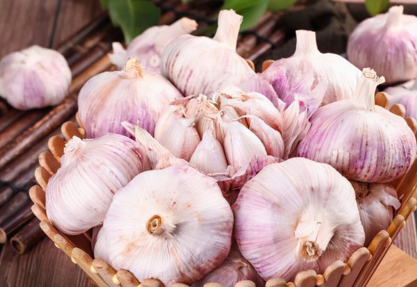 大蒜上面有紫斑能吃吗