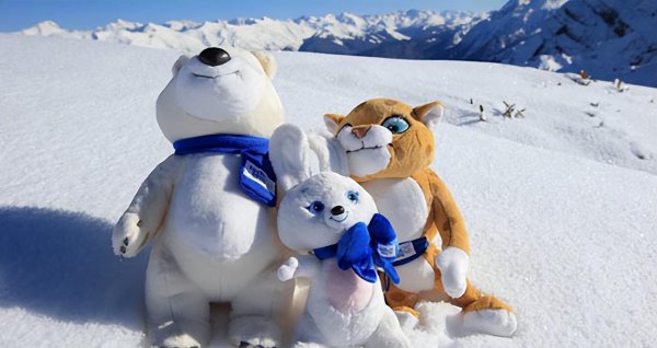 兔子品种名称介绍及图片