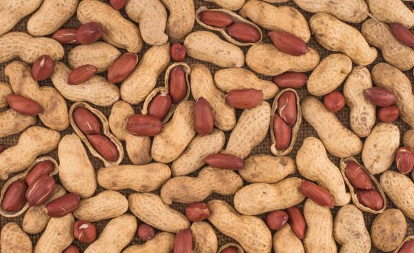 花生一窝种几粒种子