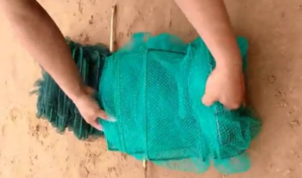 地笼怎么下才是正确的