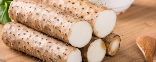 山药茯苓粉怎么吃