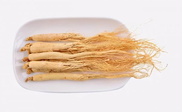 人参怎么鉴别好坏