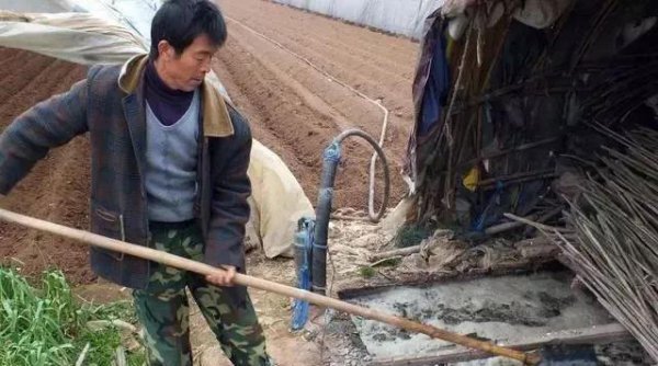 农业上为什么要使用化肥