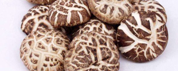 新鲜花菇的正确吃法