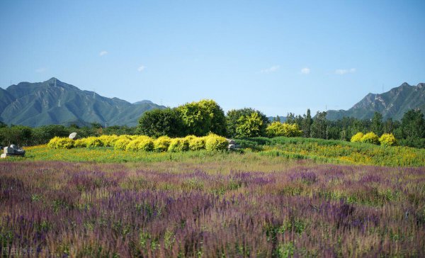 想念情人最感动的语言