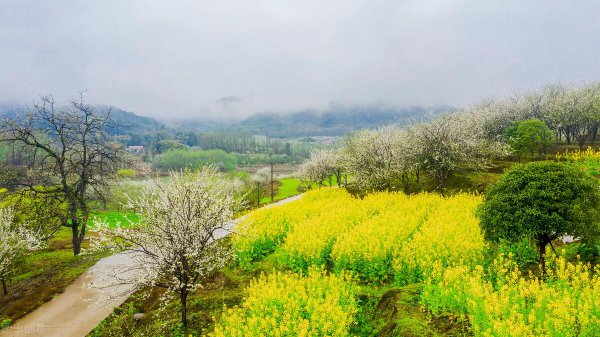 想念情人最感动的语言