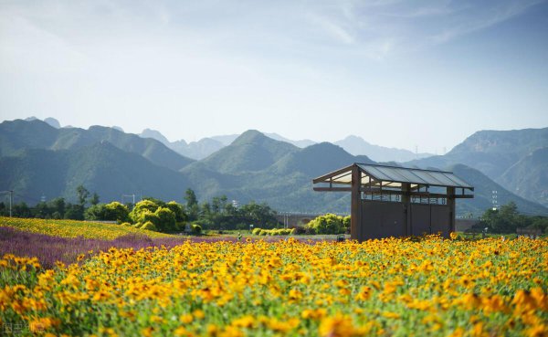 想念情人最感动的语言