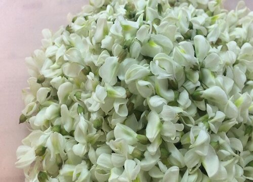 国槐花能吃吗有毒吗