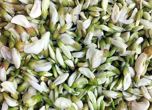 国槐花能吃吗有毒吗