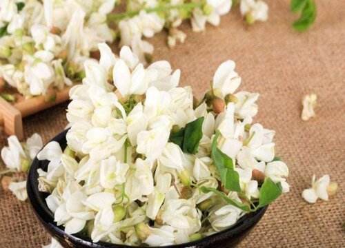 国槐花能吃吗有毒吗