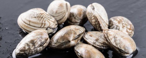 炒的花甲可以过夜吃吗