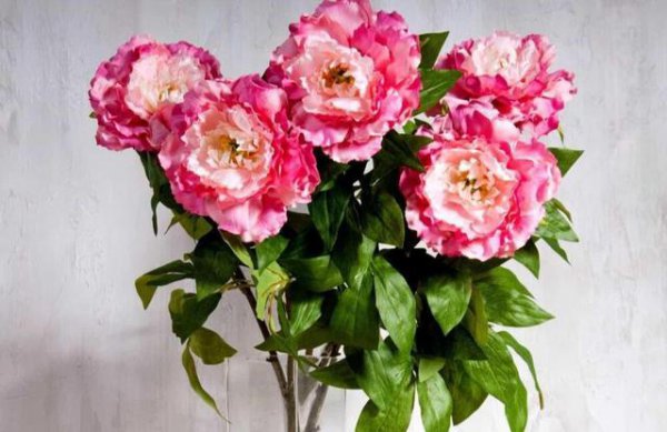 射手座越爱越不联系的表现