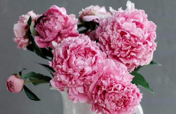 射手座越爱越不联系的表现