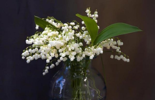 射手座越爱越不联系的表现