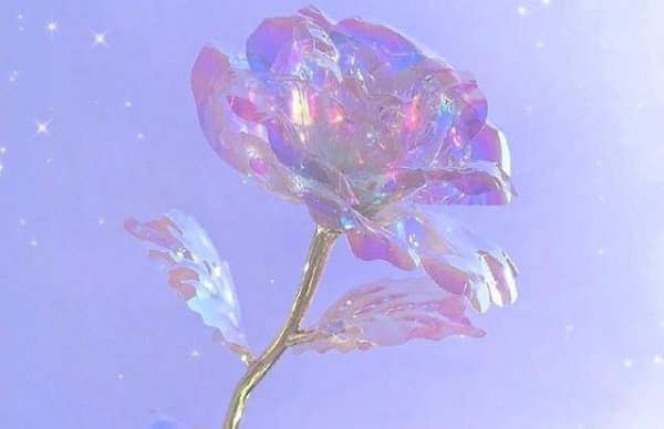 射手座越爱越不联系的表现