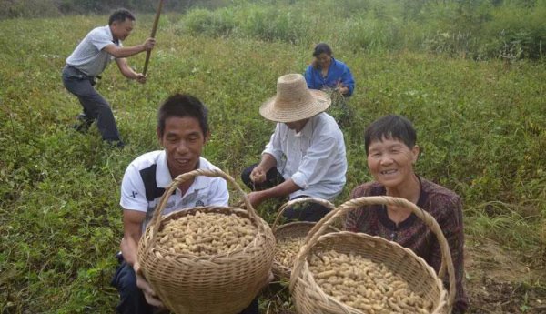 德安县属于哪个市