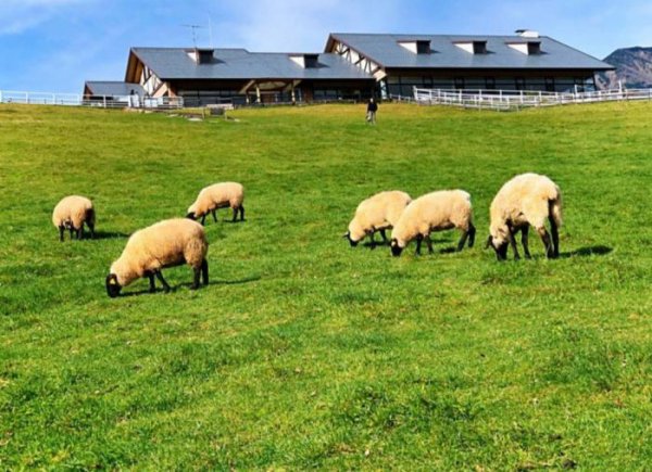 文笔强大的长篇种田文推荐