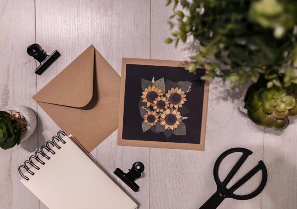 联合办学什么意思