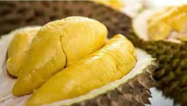 榴莲怎么选才是最好的皮薄肉多
