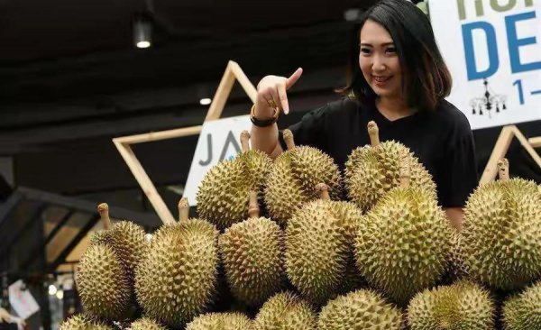 榴莲怎么选才是最好的皮薄肉多