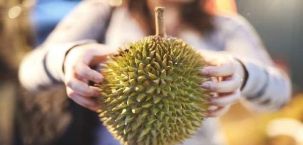 榴莲怎么选才是最好的皮薄肉多