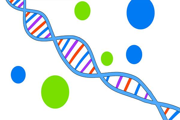 中国男女平均寿命是多少岁