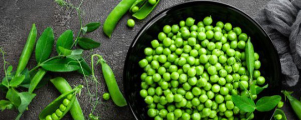 豌豆施肥方法和注意事项