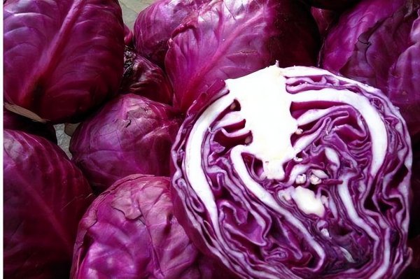 富含花青素的食物和水果排行榜