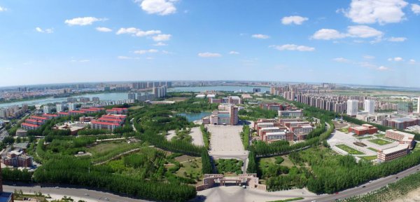 东北石油大学在哪个城市