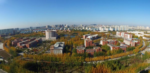 东北石油大学在哪个城市