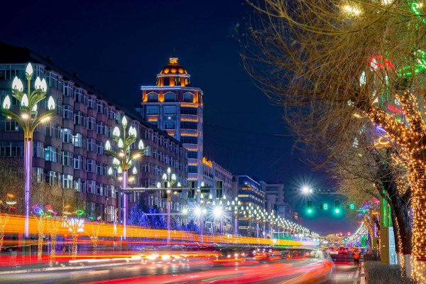 东北石油大学在哪个城市