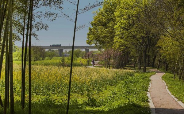 吉水在哪个省份