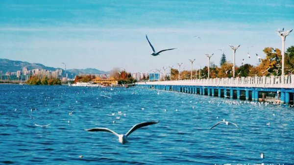 云南旅游必去十大景点推荐