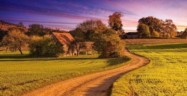 双子座女和什么星座男最配