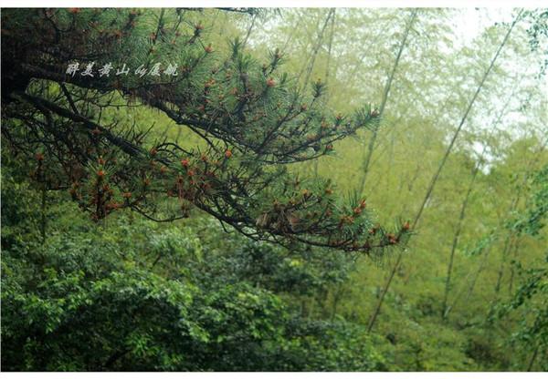 天下第一奇山是指哪个山