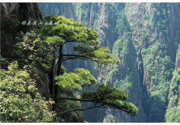 天下第一奇山是指哪个山