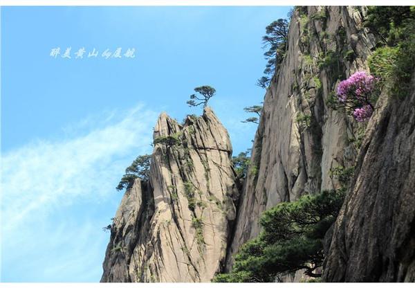 天下第一奇山是指哪个山