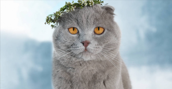 公司请假什么理由好